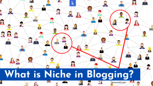 Read more about the article What is Niche in Blogging? How to Find Less Competition Blog Niches in 2021?
