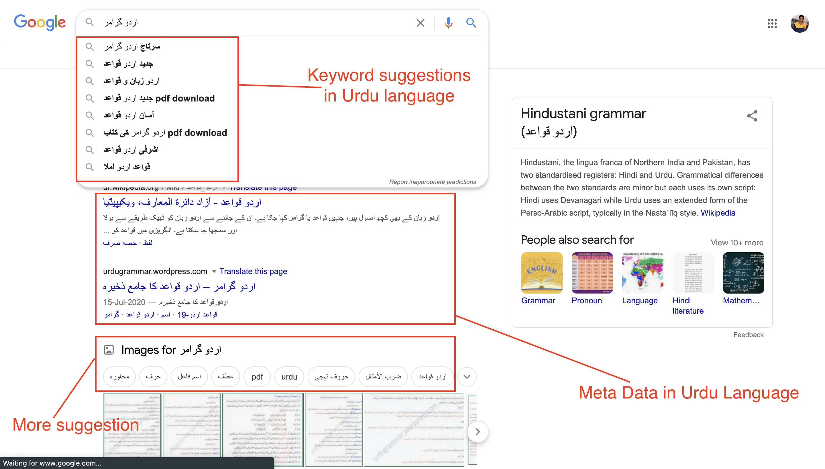 Search results in Urdu Language