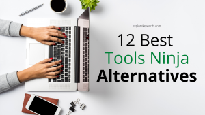 Read more about the article Top 12 Toolsninja Alternative