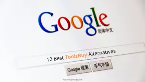 Read more about the article ToolzBuy – List of 18 Best & Cheap Alternatives