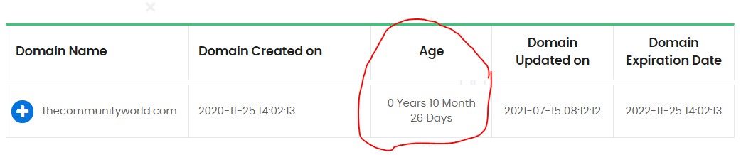 How can I find out how old a website domain is?